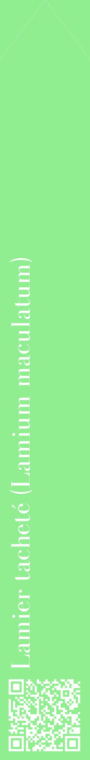 Étiquette de : Lamium maculatum - format c - style blanche15_simplebod avec qrcode et comestibilité