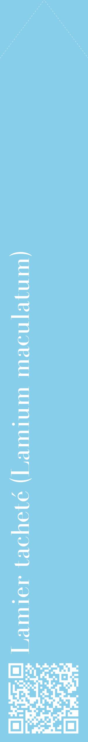 Étiquette de : Lamium maculatum - format c - style blanche1_simplebod avec qrcode et comestibilité