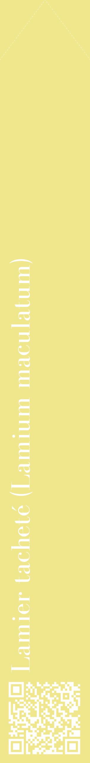 Étiquette de : Lamium maculatum - format c - style blanche20_simplebod avec qrcode et comestibilité
