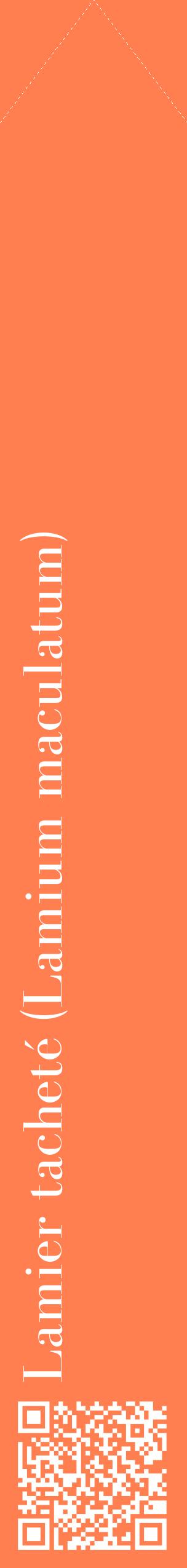 Étiquette de : Lamium maculatum - format c - style blanche24_simplebod avec qrcode et comestibilité