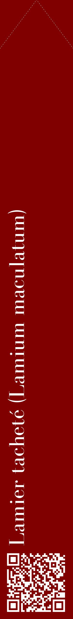 Étiquette de : Lamium maculatum - format c - style blanche29_simplebod avec qrcode et comestibilité