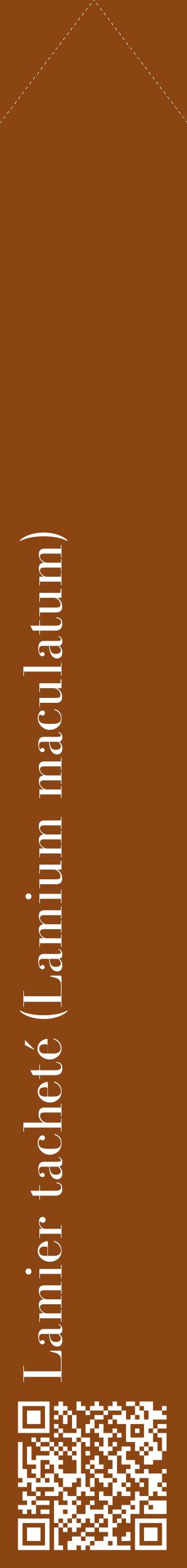 Étiquette de : Lamium maculatum - format c - style blanche30_simplebod avec qrcode et comestibilité