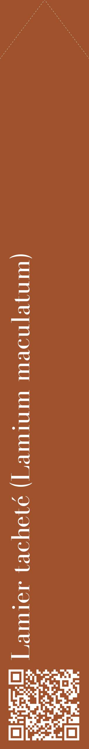 Étiquette de : Lamium maculatum - format c - style blanche32_simplebod avec qrcode et comestibilité