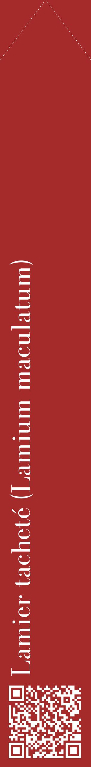 Étiquette de : Lamium maculatum - format c - style blanche33_simplebod avec qrcode et comestibilité
