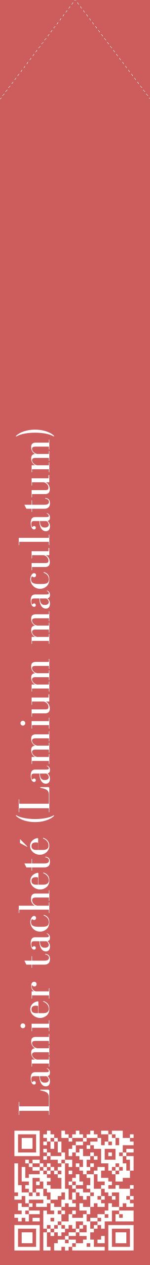 Étiquette de : Lamium maculatum - format c - style blanche35_simplebod avec qrcode et comestibilité