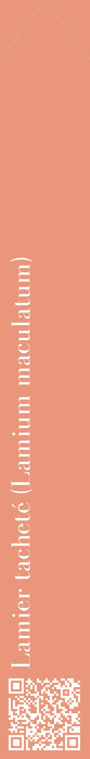 Étiquette de : Lamium maculatum - format c - style blanche37_simplebod avec qrcode et comestibilité
