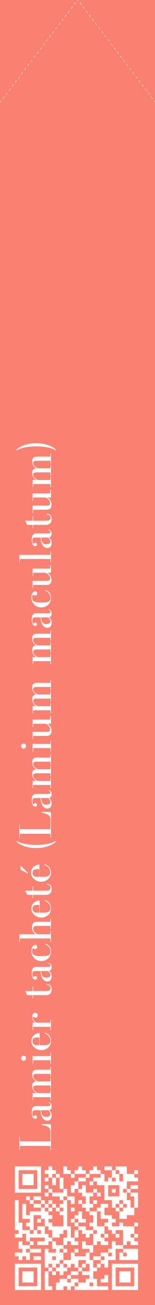 Étiquette de : Lamium maculatum - format c - style blanche38_simplebod avec qrcode et comestibilité