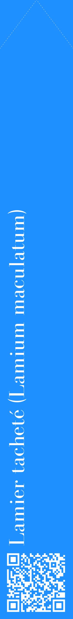 Étiquette de : Lamium maculatum - format c - style blanche3_simplebod avec qrcode et comestibilité