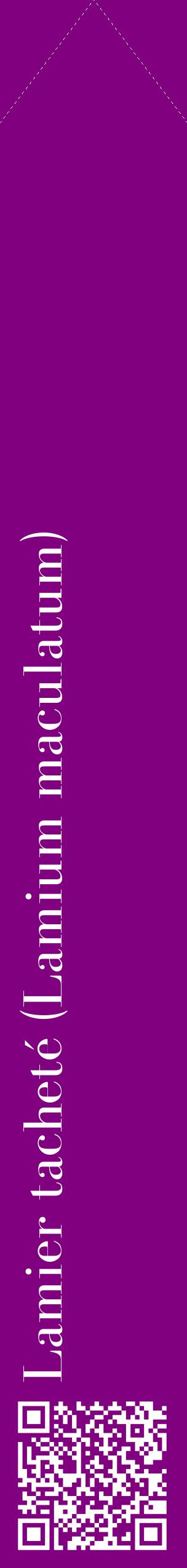 Étiquette de : Lamium maculatum - format c - style blanche46_simplebod avec qrcode et comestibilité