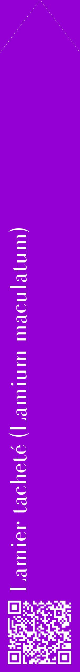 Étiquette de : Lamium maculatum - format c - style blanche48_simplebod avec qrcode et comestibilité