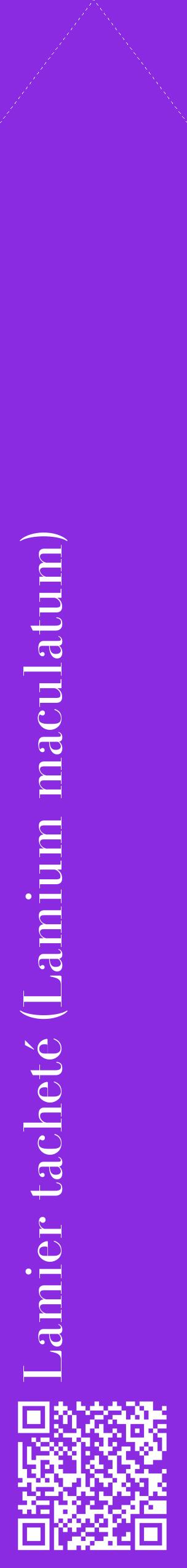 Étiquette de : Lamium maculatum - format c - style blanche49_simplebod avec qrcode et comestibilité