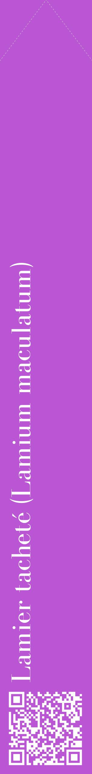 Étiquette de : Lamium maculatum - format c - style blanche50_simplebod avec qrcode et comestibilité