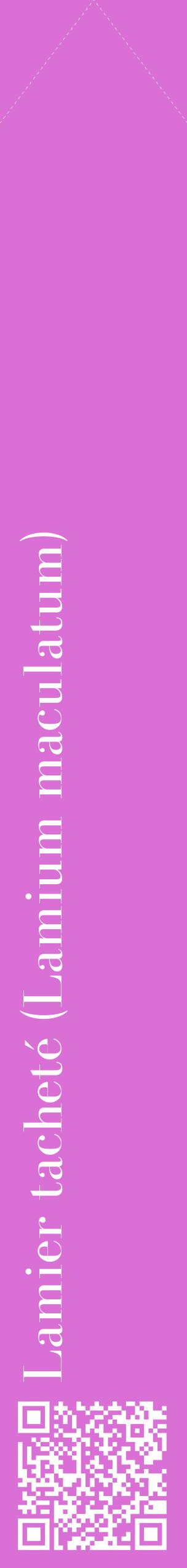 Étiquette de : Lamium maculatum - format c - style blanche52_simplebod avec qrcode et comestibilité