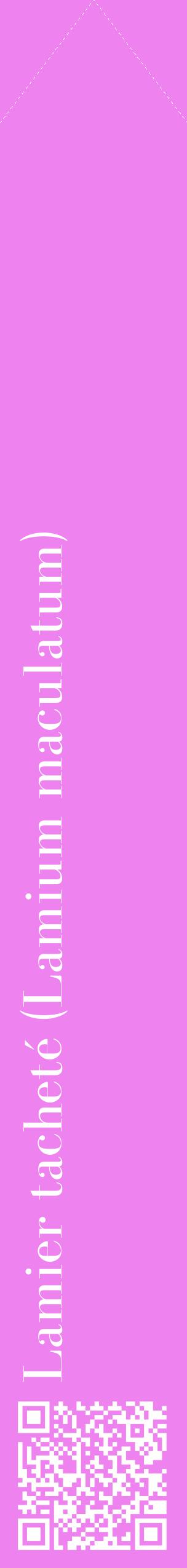 Étiquette de : Lamium maculatum - format c - style blanche53_simplebod avec qrcode et comestibilité