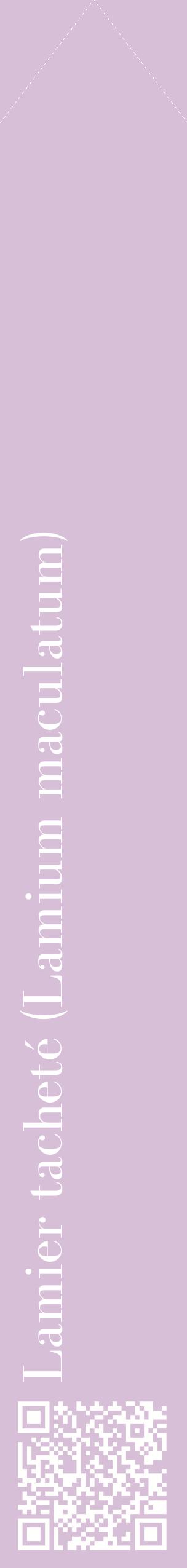 Étiquette de : Lamium maculatum - format c - style blanche54_simplebod avec qrcode et comestibilité
