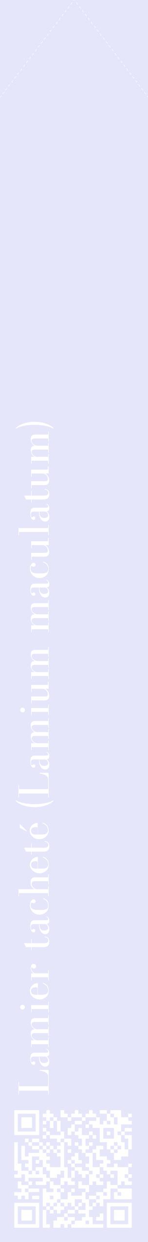 Étiquette de : Lamium maculatum - format c - style blanche55_simplebod avec qrcode et comestibilité