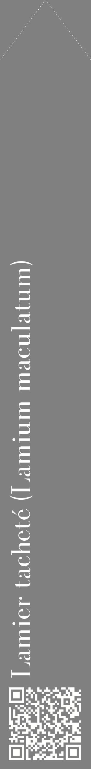 Étiquette de : Lamium maculatum - format c - style blanche57_simplebod avec qrcode et comestibilité
