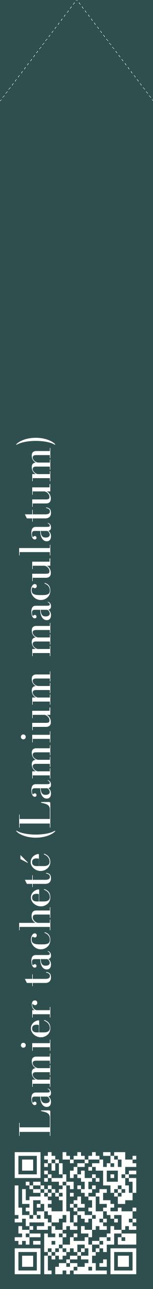 Étiquette de : Lamium maculatum - format c - style blanche58_simplebod avec qrcode et comestibilité