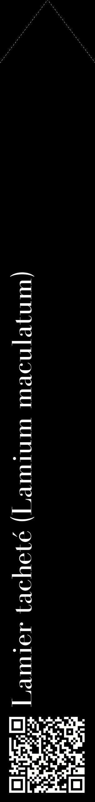 Étiquette de : Lamium maculatum - format c - style blanche59_simplebod avec qrcode et comestibilité
