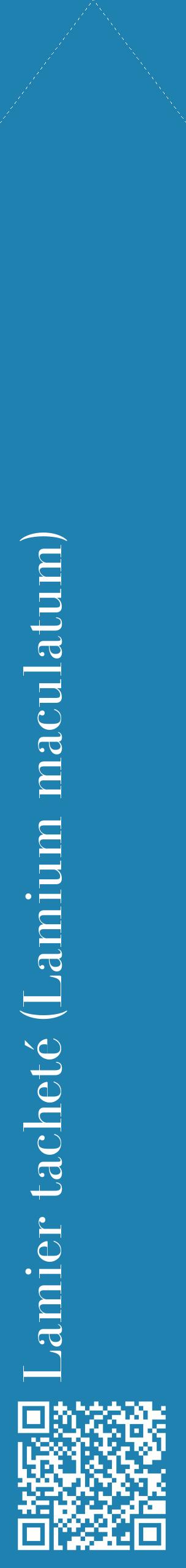 Étiquette de : Lamium maculatum - format c - style blanche6_simplebod avec qrcode et comestibilité