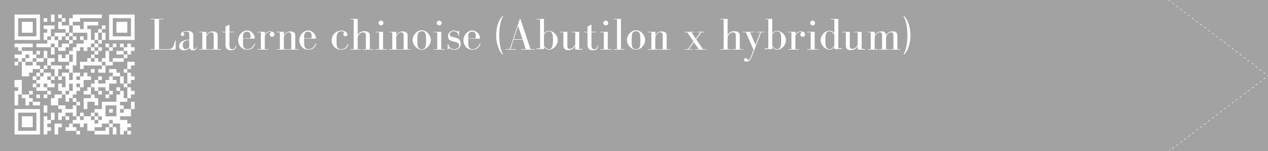 Étiquette de : Abutilon x hybridum - format c - style blanche38_simple_simplebod avec qrcode et comestibilité