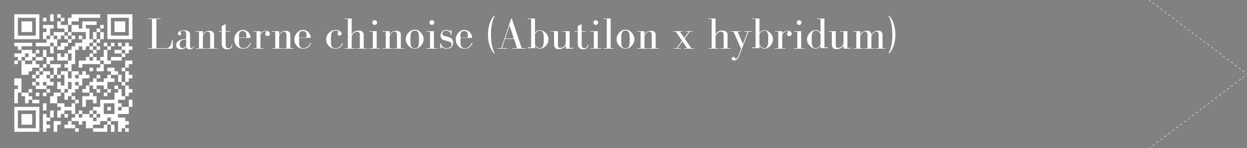 Étiquette de : Abutilon x hybridum - format c - style blanche50_simple_simplebod avec qrcode et comestibilité