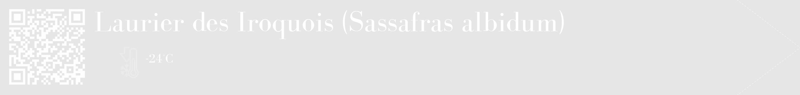 Étiquette de : Sassafras albidum - format c - style blanche18_simple_simplebod avec qrcode et comestibilité