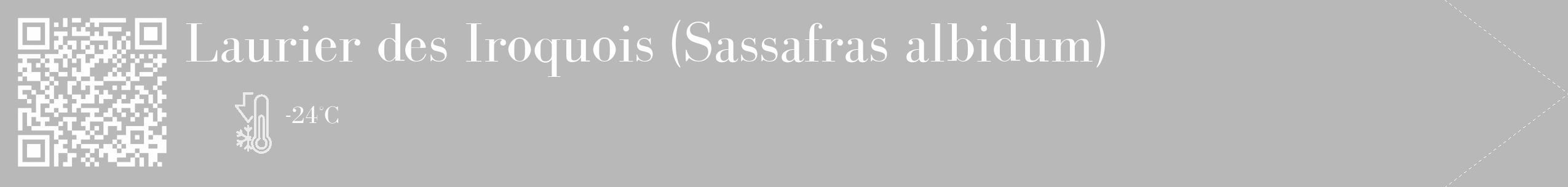 Étiquette de : Sassafras albidum - format c - style blanche39_simple_simplebod avec qrcode et comestibilité