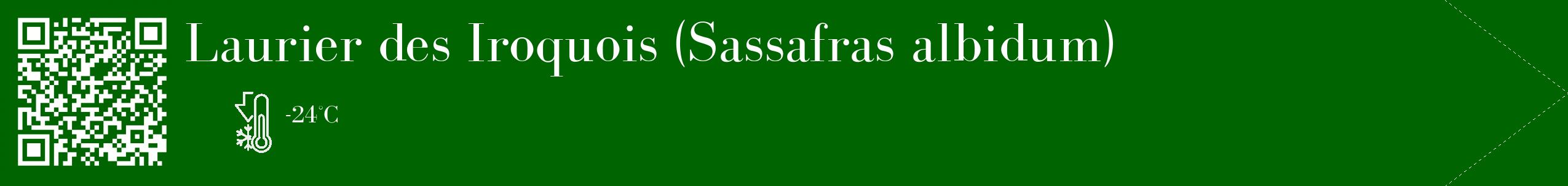 Étiquette de : Sassafras albidum - format c - style blanche8_simple_simplebod avec qrcode et comestibilité