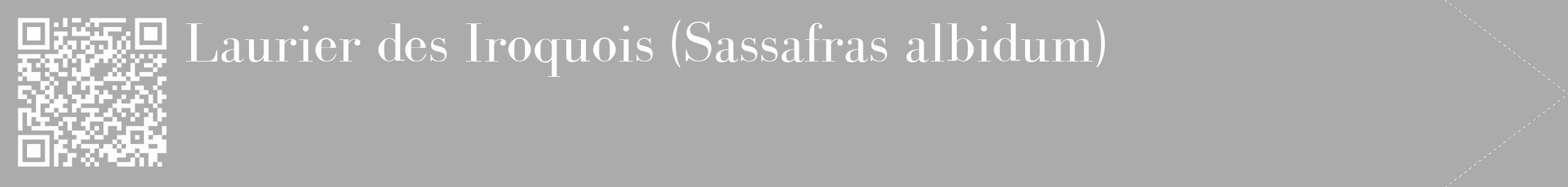 Étiquette de : Sassafras albidum - format c - style blanche37_simple_simplebod avec qrcode et comestibilité