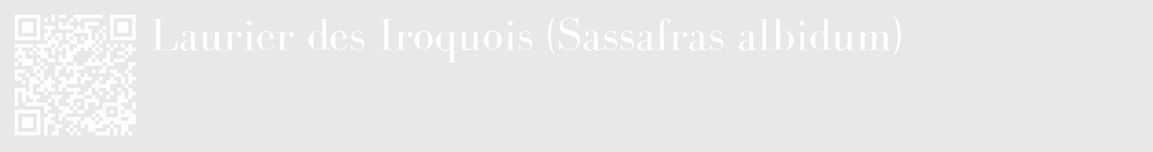Étiquette de : Sassafras albidum - format c - style blanche55_basique_basiquebod avec qrcode et comestibilité