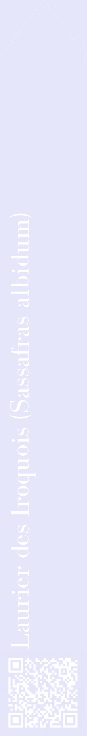 Étiquette de : Sassafras albidum - format c - style blanche55_simplebod avec qrcode et comestibilité