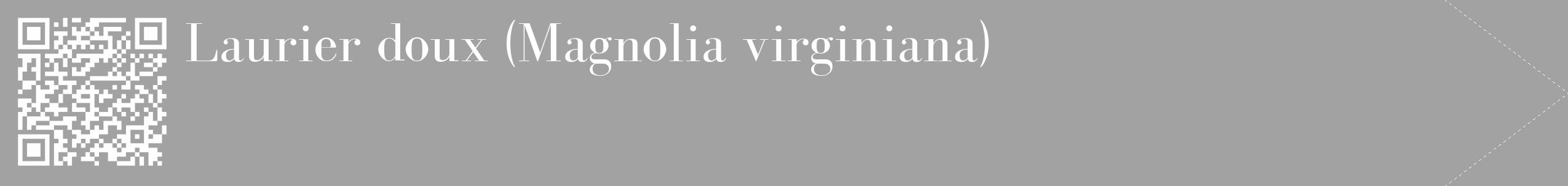 Étiquette de : Magnolia virginiana - format c - style blanche38_simple_simplebod avec qrcode et comestibilité