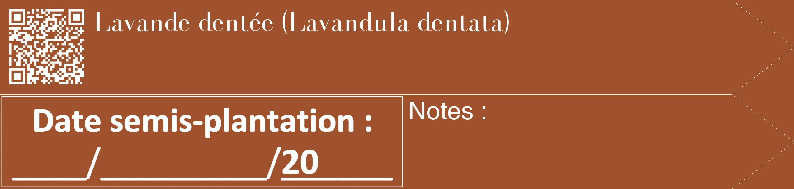 Étiquette de : Lavandula dentata - format c - style blanche32_simple_simplebod avec qrcode et comestibilité