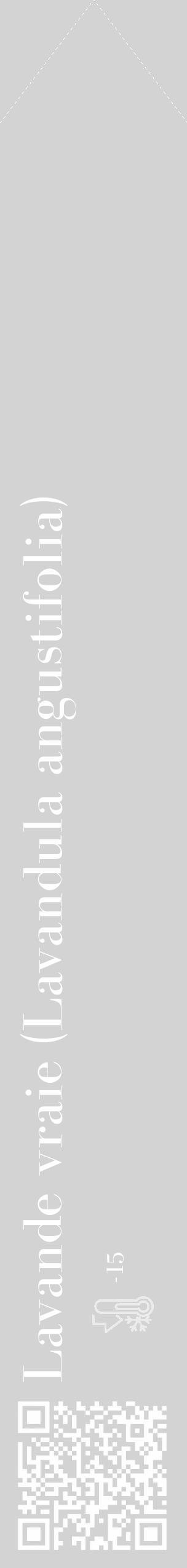 Étiquette de : Lavandula angustifolia - format c - style blanche56_simple_simplebod avec qrcode et comestibilité - position verticale