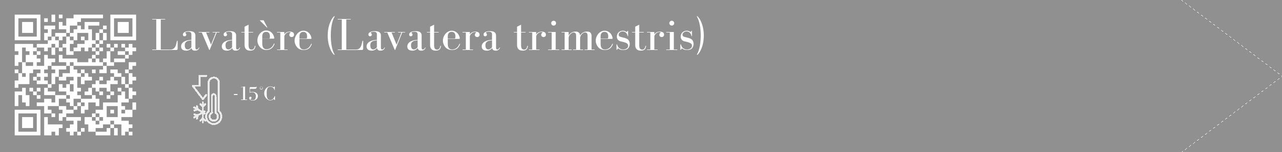 Étiquette de : Lavatera trimestris - format c - style blanche4_simple_simplebod avec qrcode et comestibilité