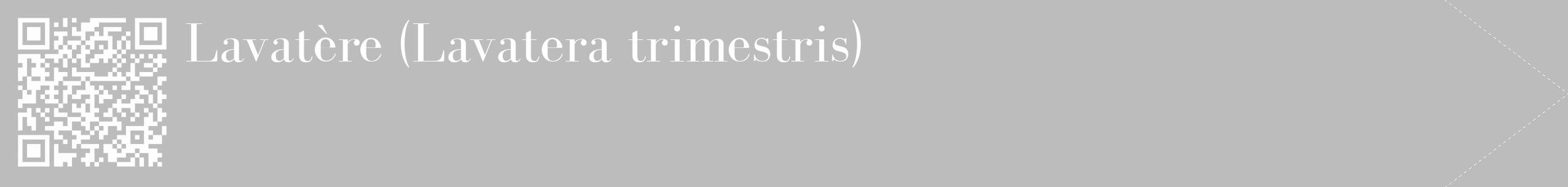 Étiquette de : Lavatera trimestris - format c - style blanche1_simple_simplebod avec qrcode et comestibilité