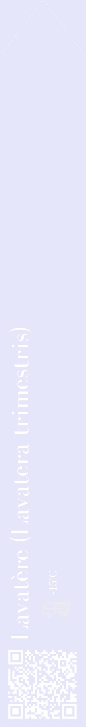 Étiquette de : Lavatera trimestris - format c - style blanche55_simple_simplebod avec qrcode et comestibilité - position verticale