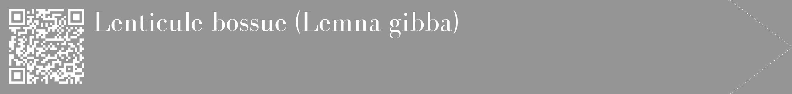 Étiquette de : Lemna gibba - format c - style blanche16_simple_simplebod avec qrcode et comestibilité