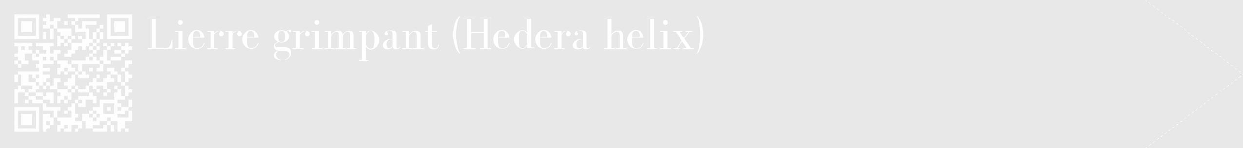 Étiquette de : Hedera helix - format c - style blanche55_simple_simplebod avec qrcode et comestibilité