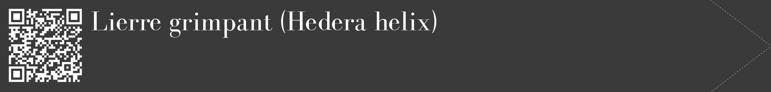 Étiquette de : Hedera helix - format c - style blanche8_simple_simplebod avec qrcode et comestibilité