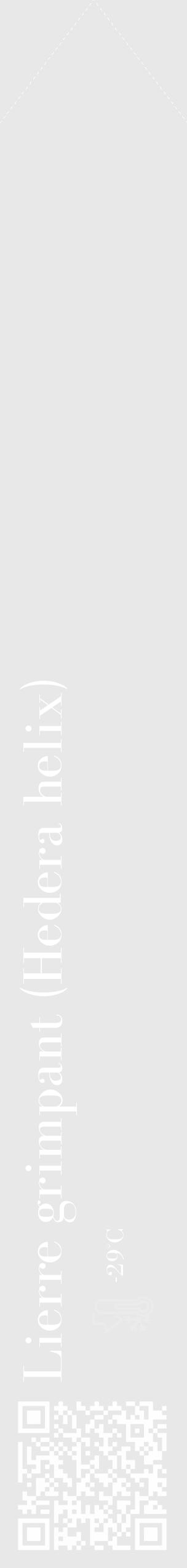 Étiquette de : Hedera helix - format c - style blanche55_simple_simplebod avec qrcode et comestibilité - position verticale