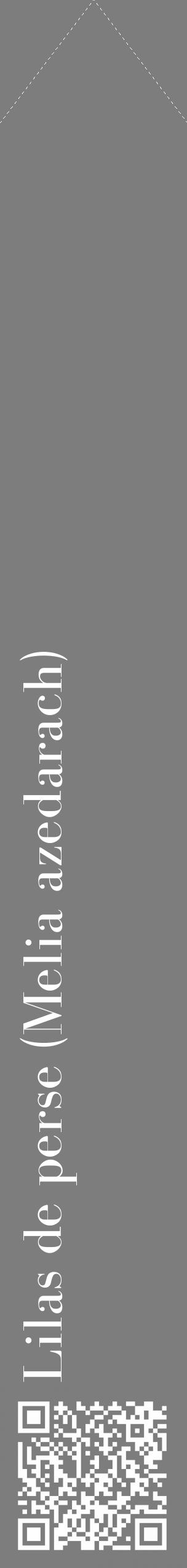 Étiquette de : Melia azedarach - format c - style blanche35_simple_simplebod avec qrcode et comestibilité - position verticale
