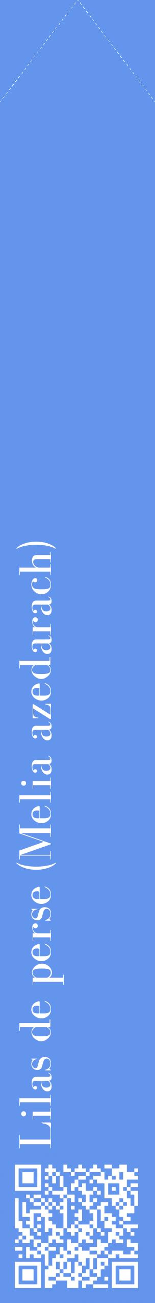 Étiquette de : Melia azedarach - format c - style blanche4_simplebod avec qrcode et comestibilité