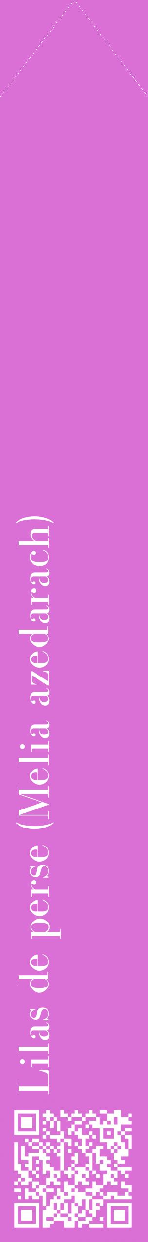 Étiquette de : Melia azedarach - format c - style blanche52_simplebod avec qrcode et comestibilité