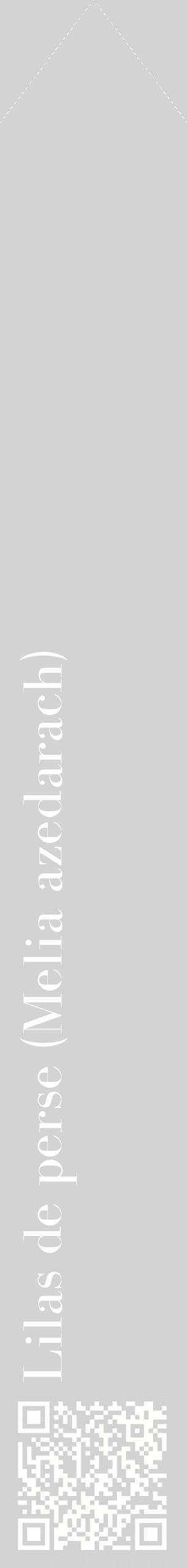 Étiquette de : Melia azedarach - format c - style blanche56_simplebod avec qrcode et comestibilité