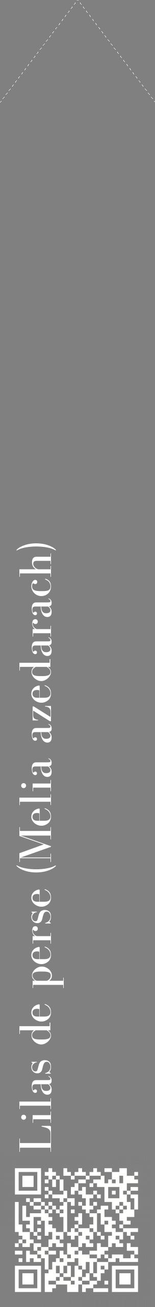 Étiquette de : Melia azedarach - format c - style blanche57_simplebod avec qrcode et comestibilité