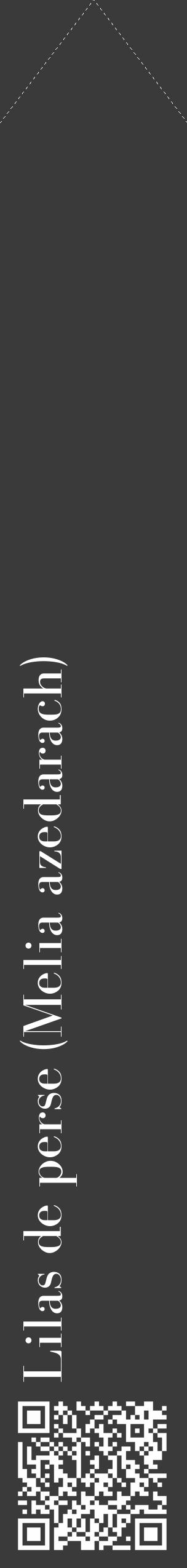 Étiquette de : Melia azedarach - format c - style blanche8_simple_simplebod avec qrcode et comestibilité - position verticale