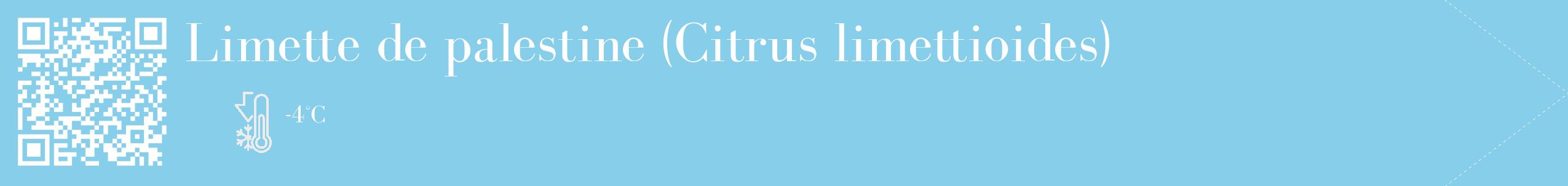 Étiquette de : Citrus limettioides - format c - style blanche1_simple_simplebod avec qrcode et comestibilité