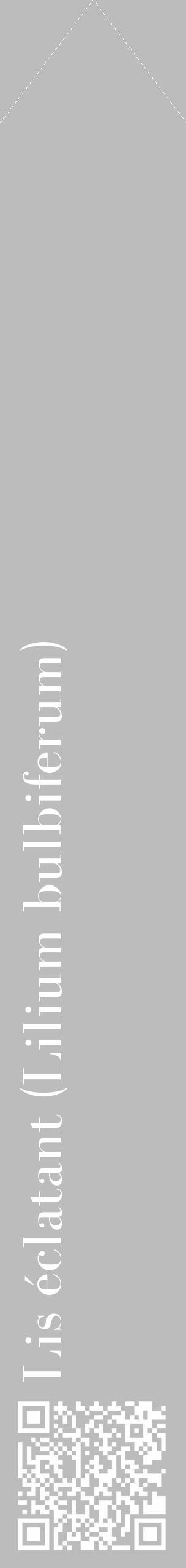 Étiquette de : Lilium bulbiferum - format c - style blanche1_simple_simplebod avec qrcode et comestibilité - position verticale